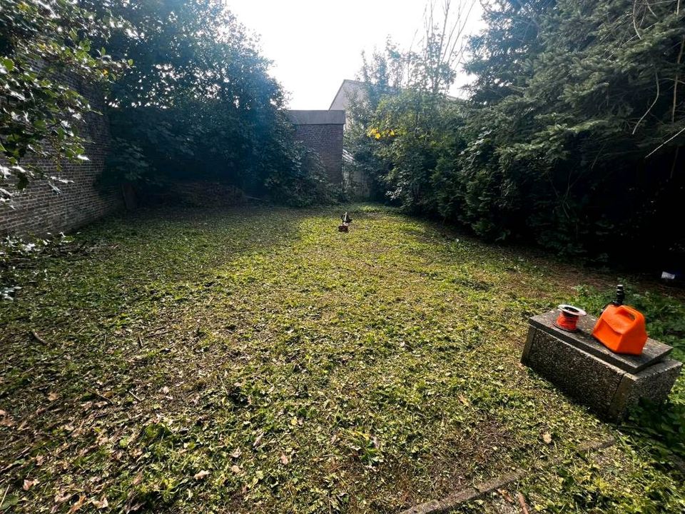 Gartenpflege rund ums Haus Hentschel in Lieth