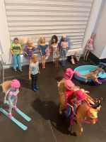 Barbie Sammlung mit Pool Pferd und Zubehör Bayern - Geisenhausen Vorschau