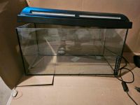 80liter Aquarium gebraucht Nordrhein-Westfalen - Billerbeck Vorschau