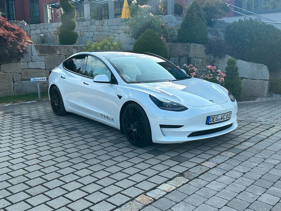 Tesla Model 3 SR+ 20 Zoll weiß/weiß in Osterhofen