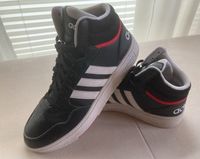 Top! Adidas High Top Ten 44 3/4 schwarz Basketball Hessen - Bensheim Vorschau