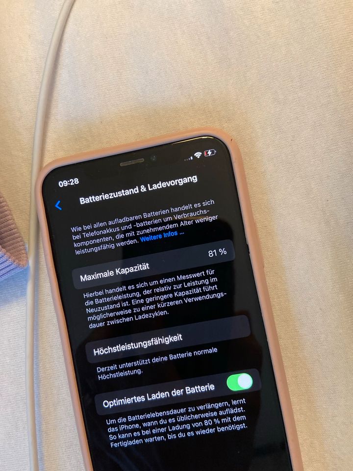 iPhone xs an Bastler in Flensburg