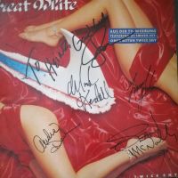 GREAT WHITE  - Alle Autogramme auf Album Cover Nordrhein-Westfalen - Rösrath Vorschau