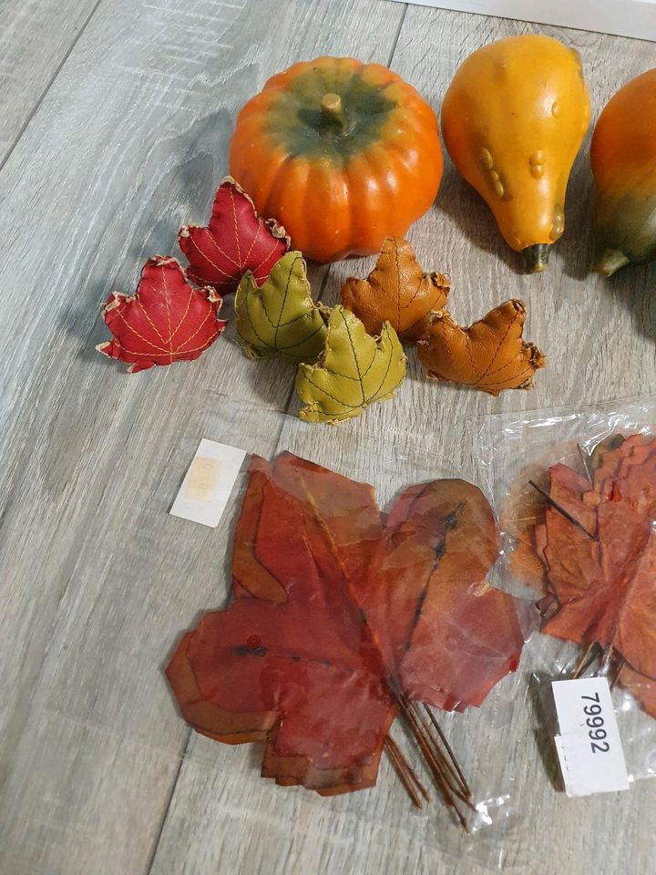 Herbstdeko Kürbis Pilz Blätter Holzherz Beton Deko Herbst in Flensburg