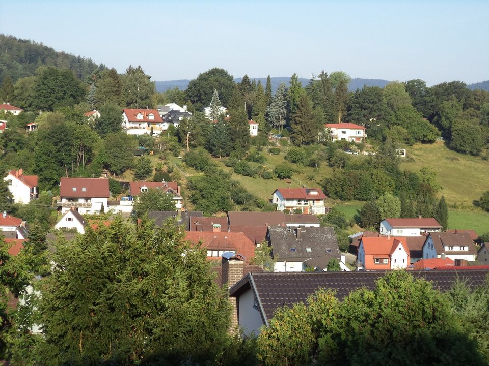 Neckargemünd-Dilsberg, 3,5 ZKB, ca. 115 m², Dachgeschoss, Südbalk in Neckargemünd