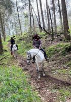 Reitbeteiligung an lieber Spanier Stute zu vergeben Nordrhein-Westfalen - Hellenthal Vorschau