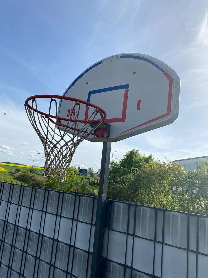 Basketball Korb Lifetime in Mehlingen
