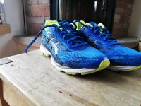 Asics Sneakers Gr 40 Rheinland-Pfalz - Monzelfeld Vorschau