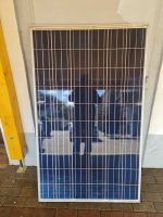 PV Module Trinasolar 245 W TSM-245PC05 Hessen - Heringen (Werra) Vorschau