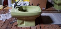 Bidet  oliv grün Retro 70er Jahre KERAMAG Hessen - Reichelsheim (Wetterau) Vorschau