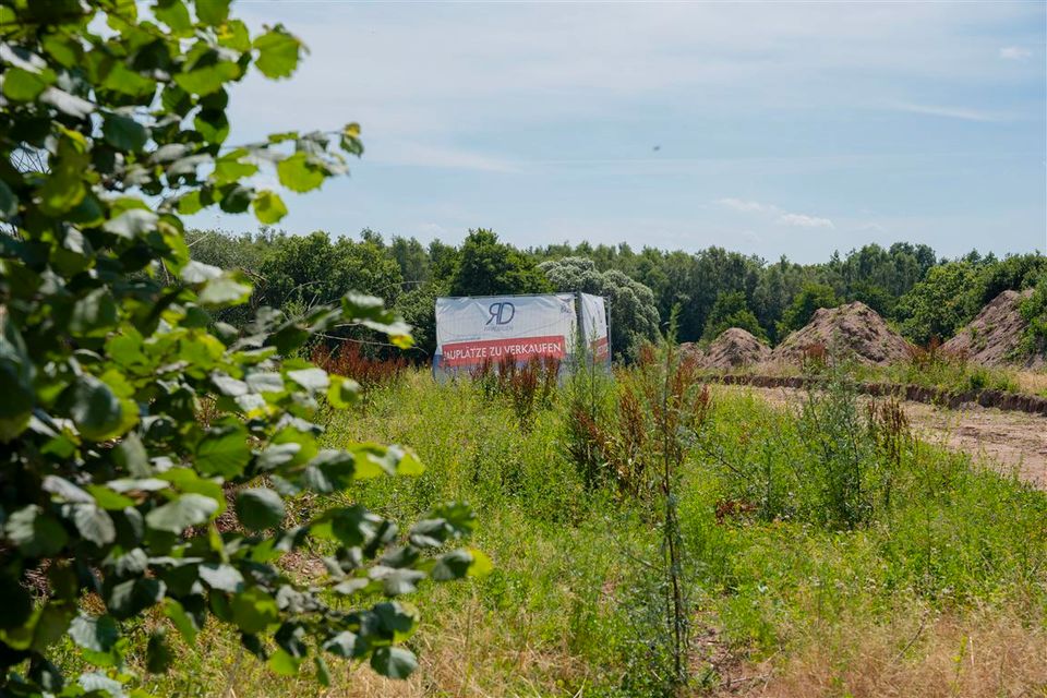 Herrliches Baugrundstück (5) mit Südwestausrichtung in Besdorf in Besdorf