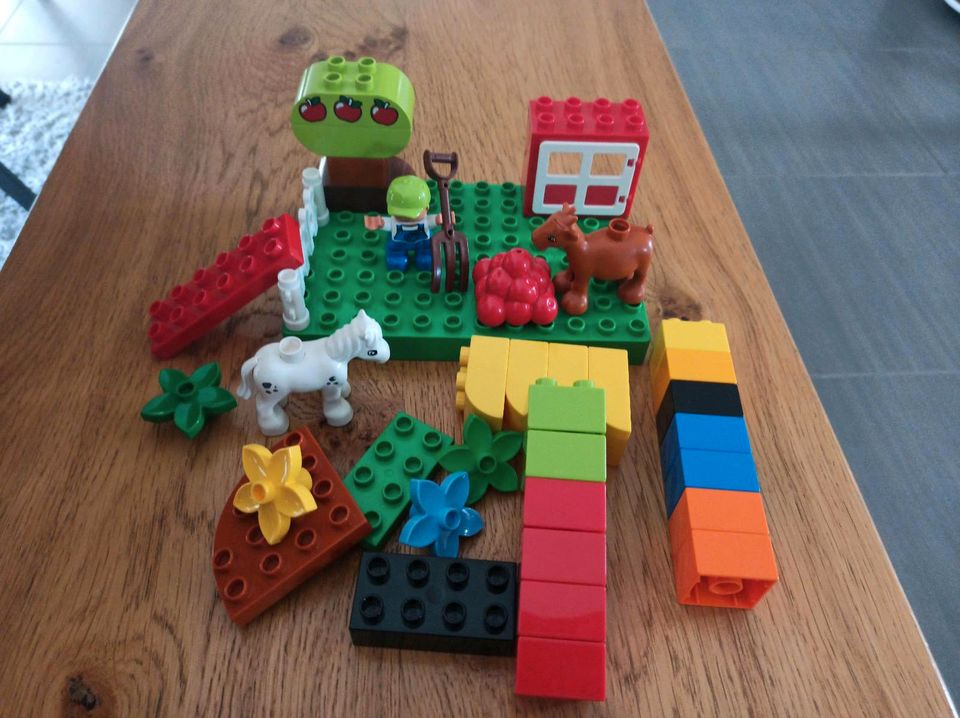 LEGO Duplo 10517 mein erster Garten in Dinkelsbuehl