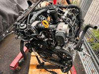 Motor VW AMAROK 3.0 TDI DDX DDXC 224PS Komplett Berlin - Wilmersdorf Vorschau