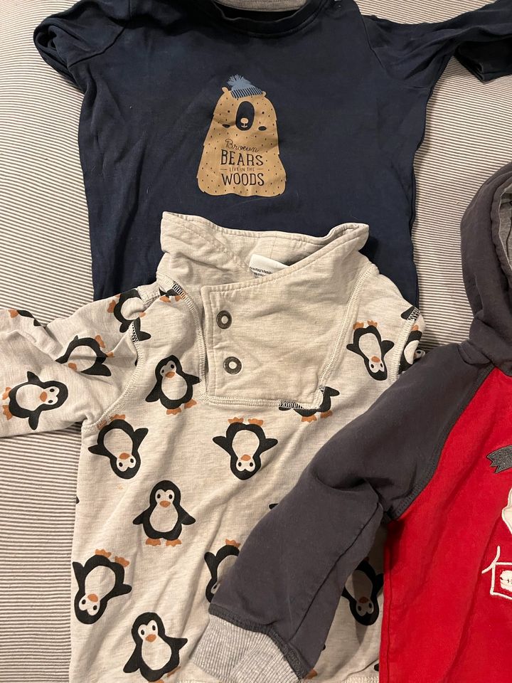 Kapuzenjacke Pullover Sweatshirt jungen Kinder H&M, Zara, etc in Fredenbeck