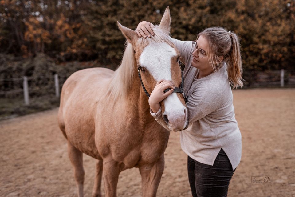 Tierphysiotherapie | Pferdephysiotherapie | Hundephysiotherapie in Selm