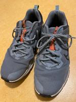 Sportschuhe Gr. 42 Sachsen - Rodewisch Vorschau