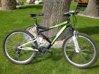 MOUNTAINBIKE REX MF 250 MTB FUILY STAHL 26 ZOLL von Prophete Brandenburg - Lübben Vorschau