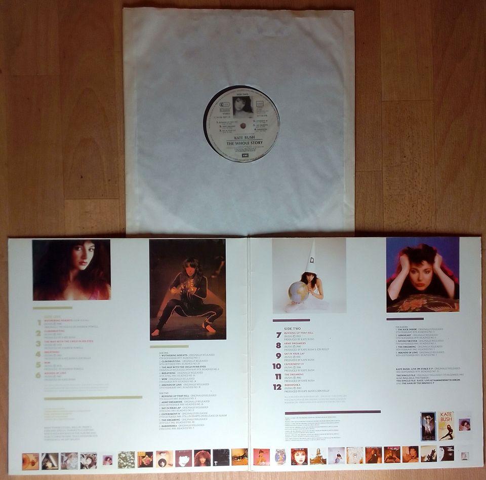 KATE BUSH Vinyl THE WHOLE STORY Schallplatte LP Hounds of Love in Holzdorf