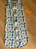 Schlafsack 110 Dinos Nordrhein-Westfalen - Troisdorf Vorschau