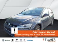 Volkswagen Golf VII 1.6 TDI COMFORT *ACC *NAVI *SHZ *KLIMA Nordrhein-Westfalen - Borken Vorschau
