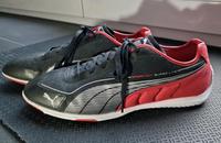 Puma Speed Cat Ultra Light Größe 43 Harburg - Hamburg Neugraben Vorschau