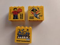 3x LEGO Extra: Fabrikstein + Feriendorf 2018 / 2019 LEGOLAND Bayern - Sondheim v.d.Rhön Vorschau