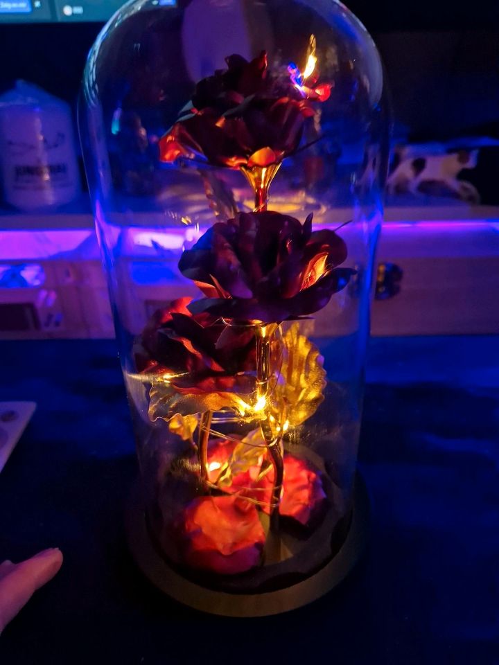 LED ROSE ...Geschenk von mein Ex ...will es schnell weg haben ‼️ in Marl