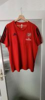 Arsenal Shirt West - Zeilsheim Vorschau