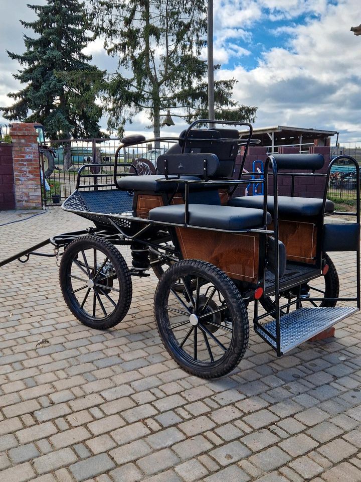 Kutsche/Trainingswagen/Glinkowski in Bad Freienwalde