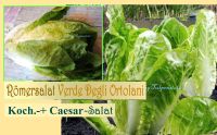 ♥ Römersalat Koch Salat Verde degli ortolani,Samen Gemüse Tulpens Eimsbüttel - Hamburg Schnelsen Vorschau