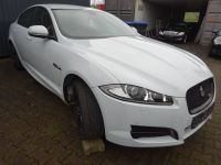 Jaguar XF 2009 - 2015 (X250) Weis Teilespender !!! Hessen - Bad Hersfeld Vorschau