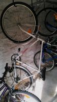 Herrenfahrrad 26" Diamant mit 3-Gangschaltung, Bereifung neu Sachsen - Zittau Vorschau