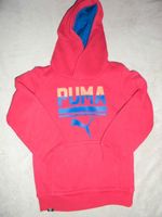 Puma Pullover Hoodie Größe 104 TOP Nordrhein-Westfalen - Salzkotten Vorschau