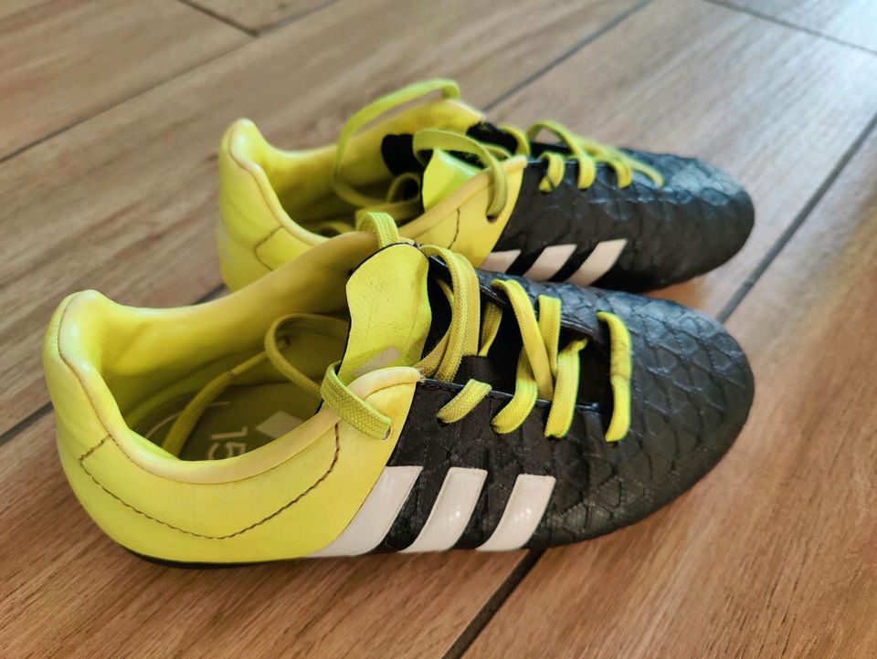 Adidas Fußballschuhe mit Stollen Größe 31 in Dresden