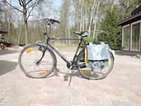 Fahrrad BATAVUS Torino Hollandrad Herren 3 Gang Brandenburg - Werben (Spreewald) Vorschau