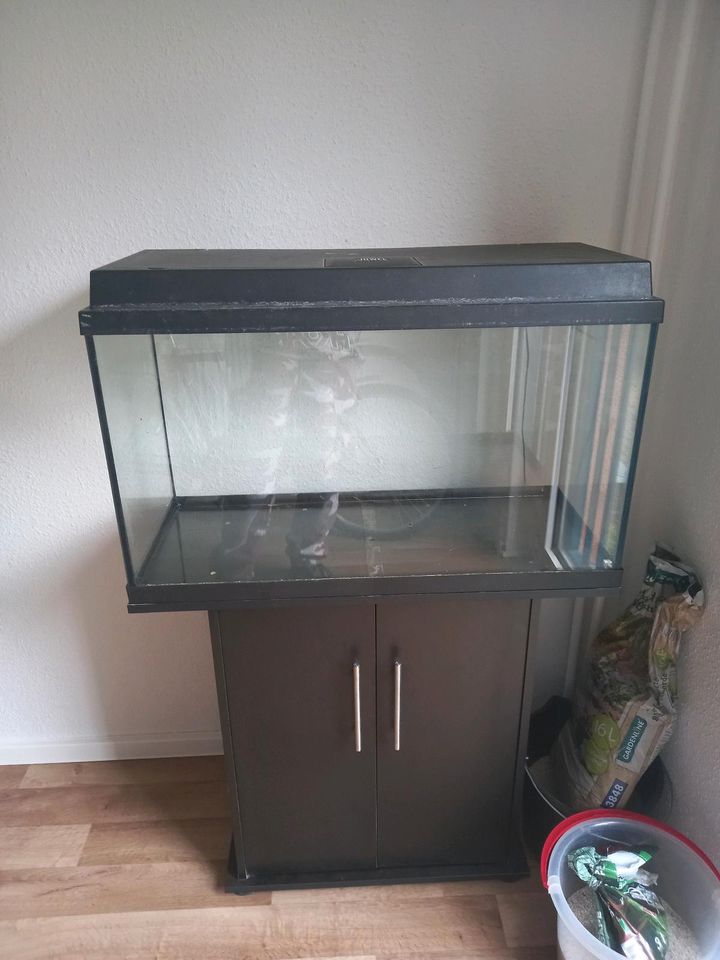 112liter aquarium in Berlin