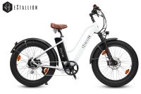 eStallion CHOPPER Unisex 250W 48Nm, 1150Wh Elektro Fatbike Düsseldorf - Friedrichstadt Vorschau