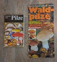 Waldpilze und Pilze sicher bestimmen Buch/Heft Bayern - Regen Vorschau