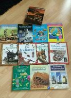 Kinderbücher Dinos Schlangen Kinderbibel Vulkane Tiere Erde Welt Niedersachsen - Uelzen Vorschau