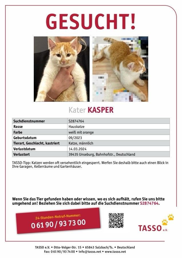 Kater Vermisst in Unseburg