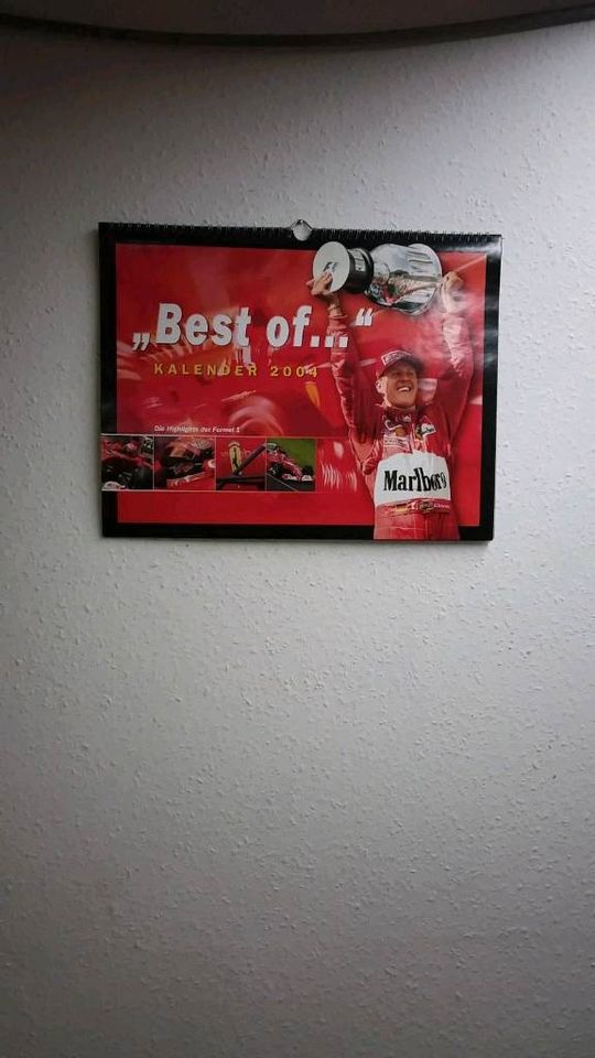 Schumacher Vettel Kalender 8Stk in Vogt