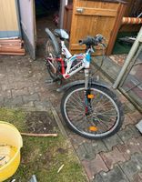 Fahrrad für Kinder Brandenburg - Schwedt (Oder) Vorschau