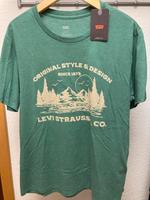 Levi’s Vintage T-Shirt Grün in Größe M Hessen - Fulda Vorschau