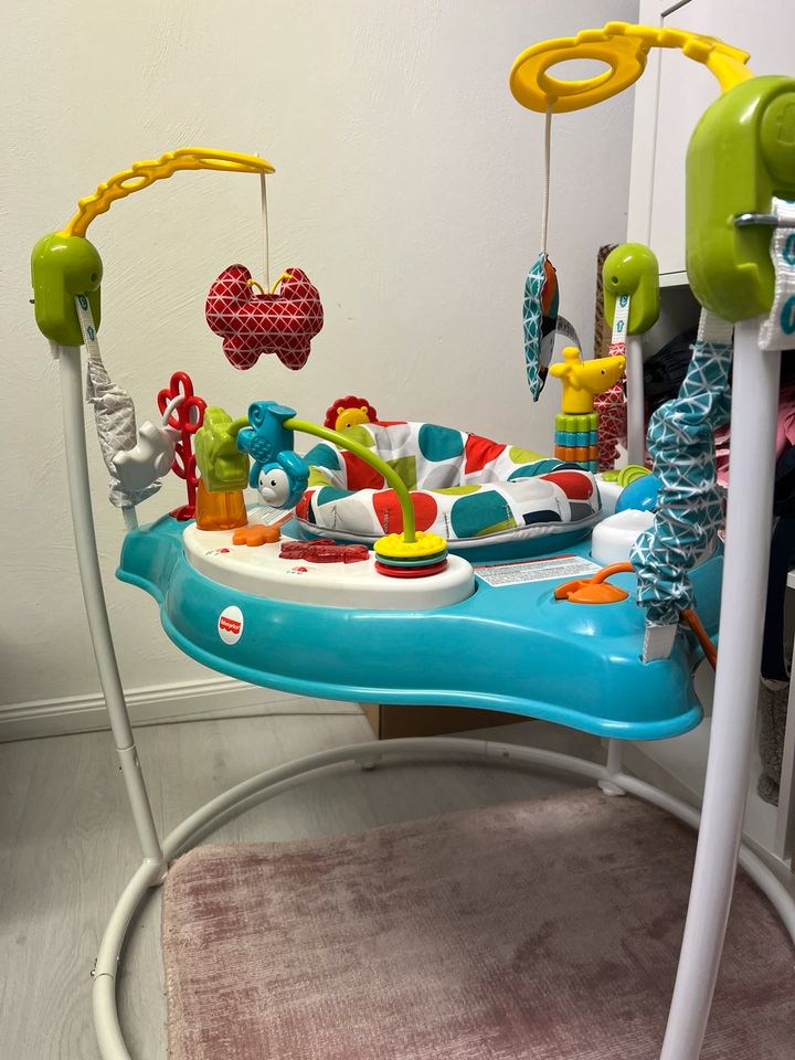 Jumperoo Fisher Price in Leinach