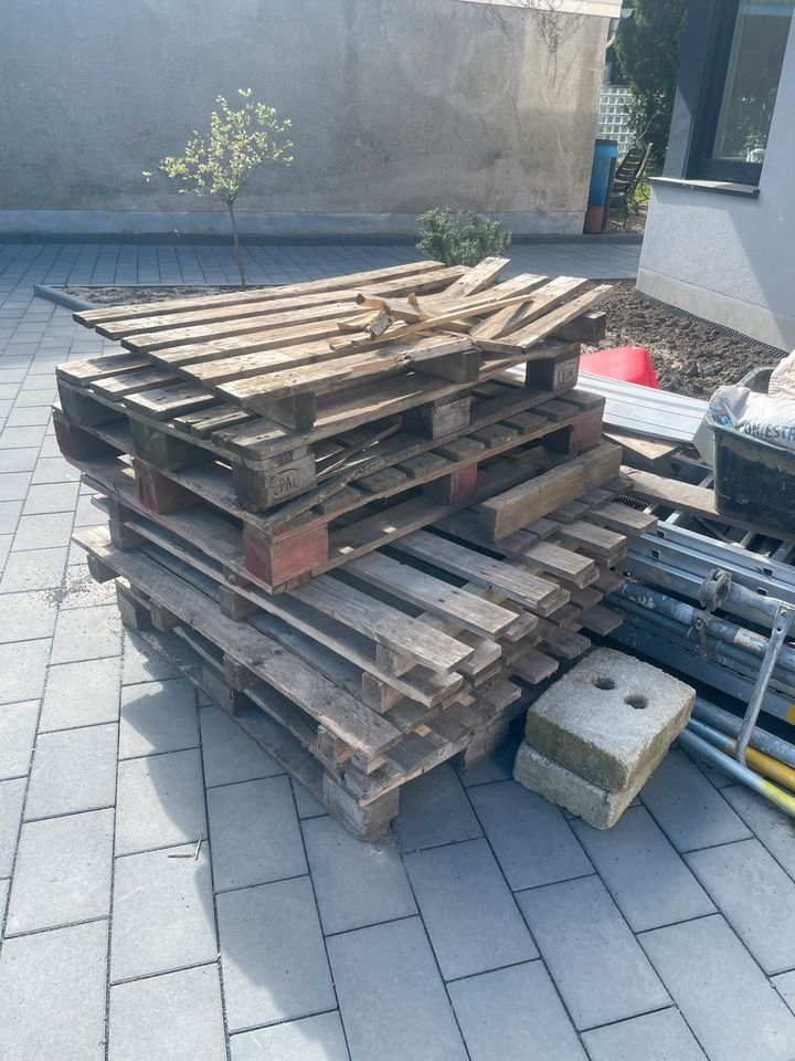 Holz zu verschenken! in Leverkusen