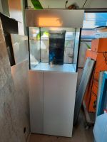 Seewasser Aquarium  Filterunterschrank Bayern - Oberasbach Vorschau