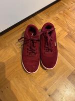 Puma Schuhe Nordrhein-Westfalen - Ahlen Vorschau