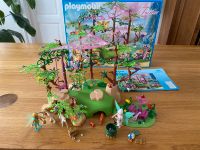 Playmobil Fairies Feen 9132 Zauberwelt Hessen - Offenbach Vorschau