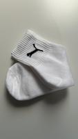 Tennissocken zu verkaufen Nordrhein-Westfalen - Verl Vorschau