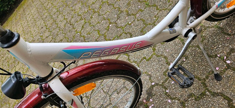 Pegasus Arcona 26 Zoll in Wuppertal